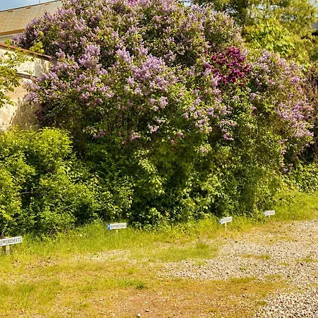 Strandvilla Seepferdchen App 3 Appartement *