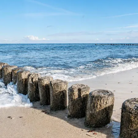 公寓 Strandvilla Seepferdchen App 3 Ostseebad Kühlungsborn